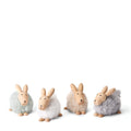 Philippi Emily Hase