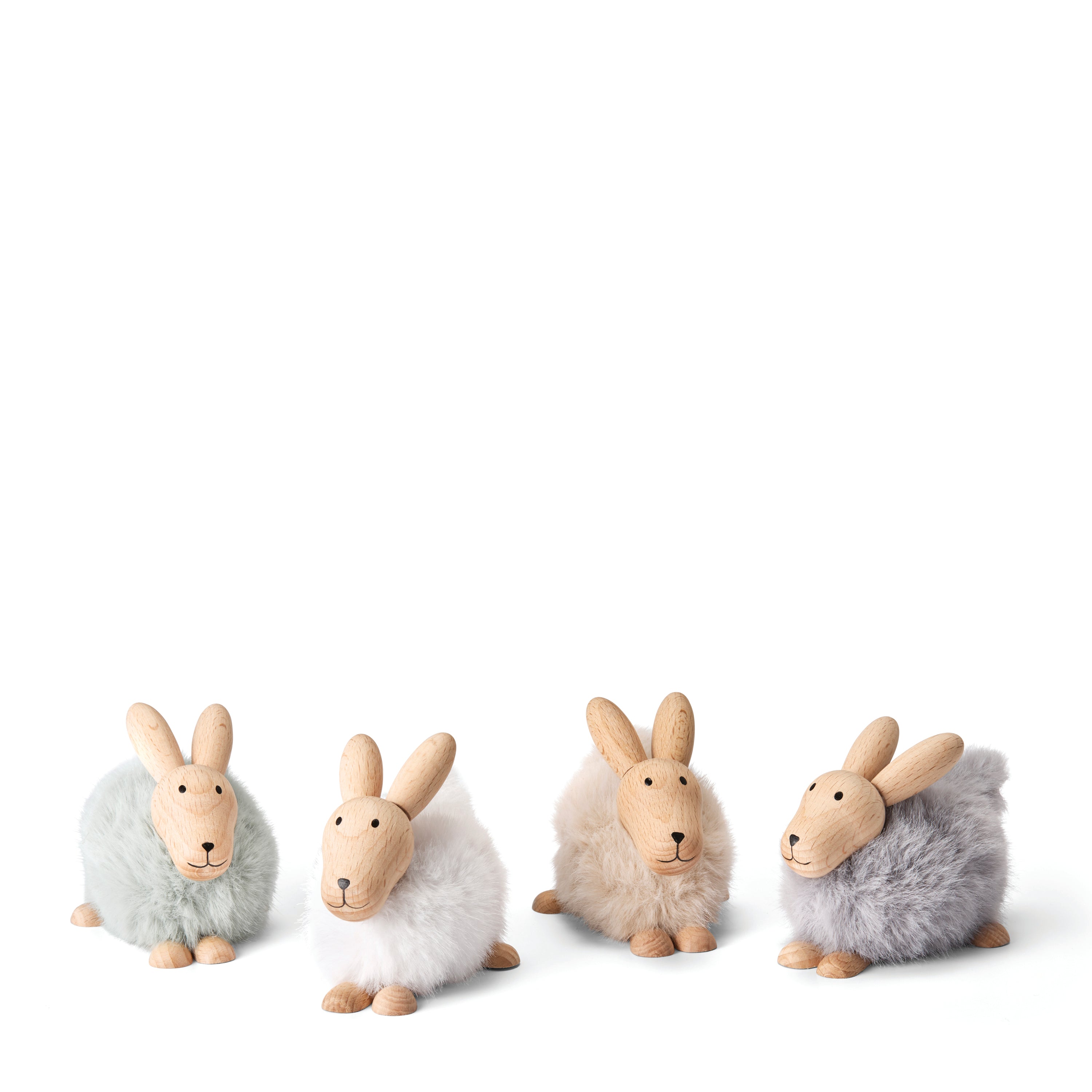 Philippi Emily Hase