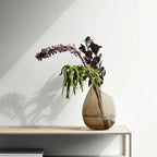 VI FERA_25-medium.webp
